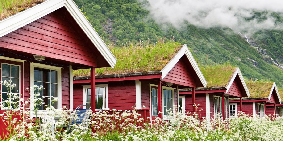 green roof