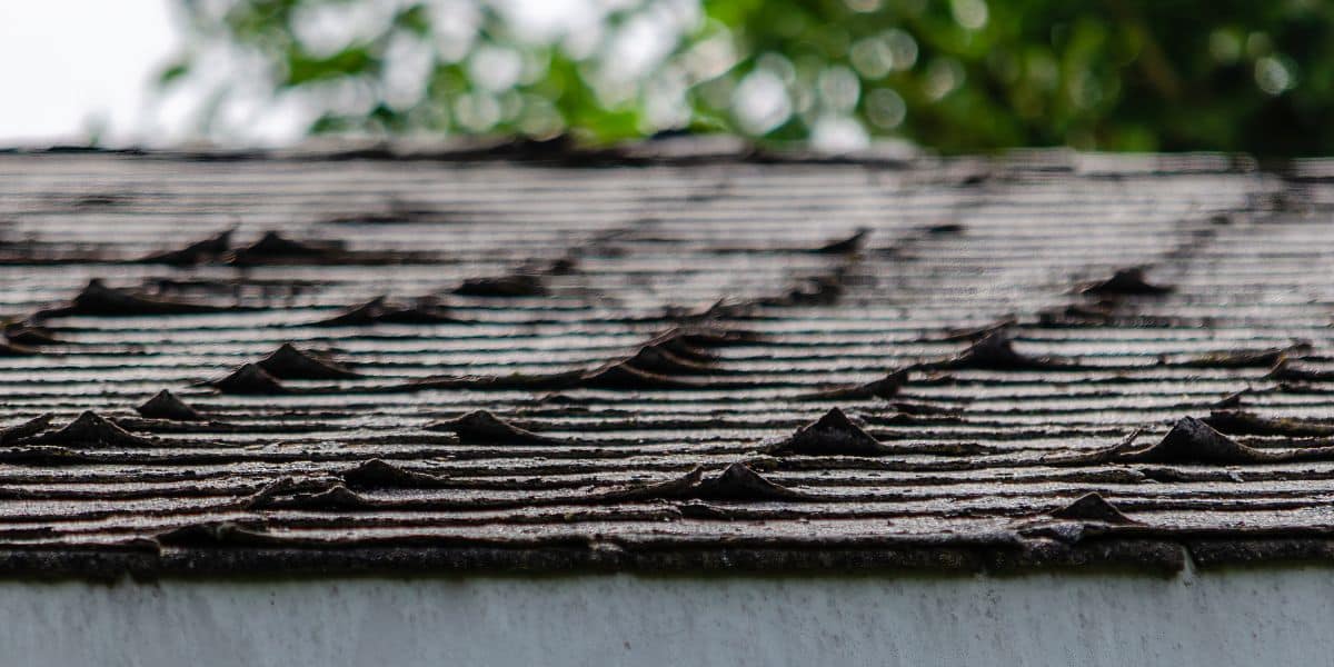 curling shingles