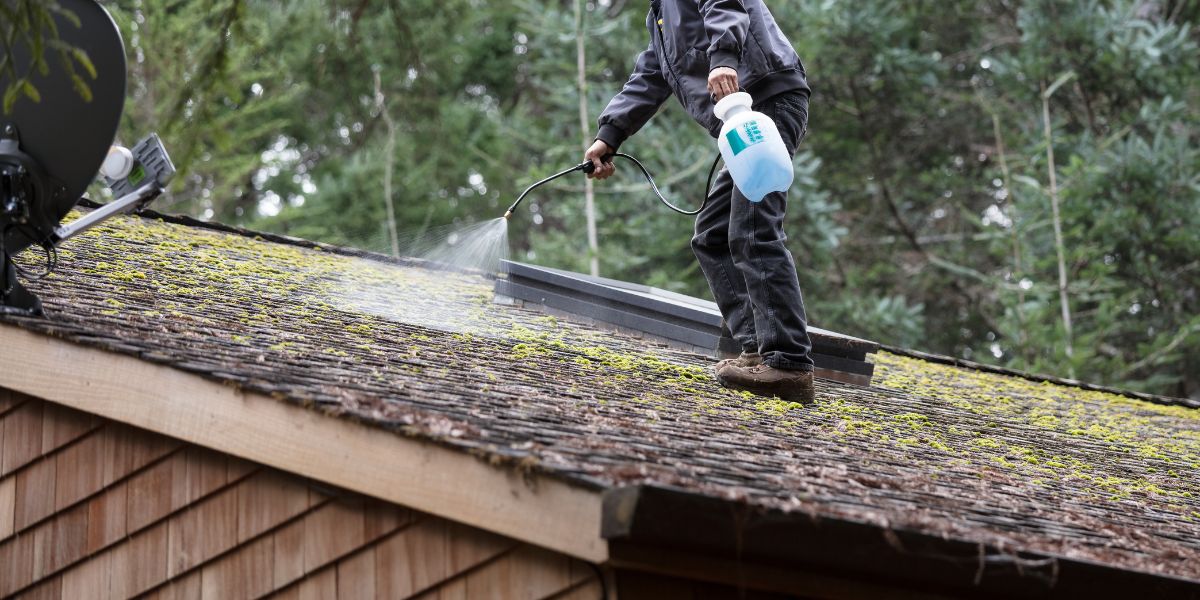 spraying roof with chemicals