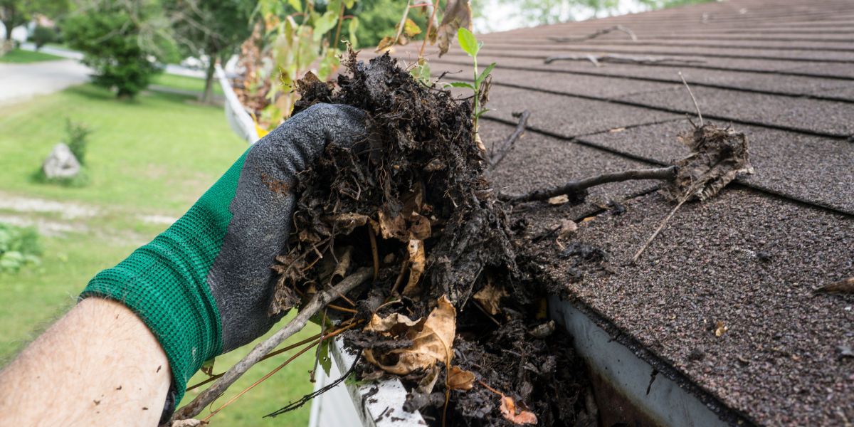 clogged gutter