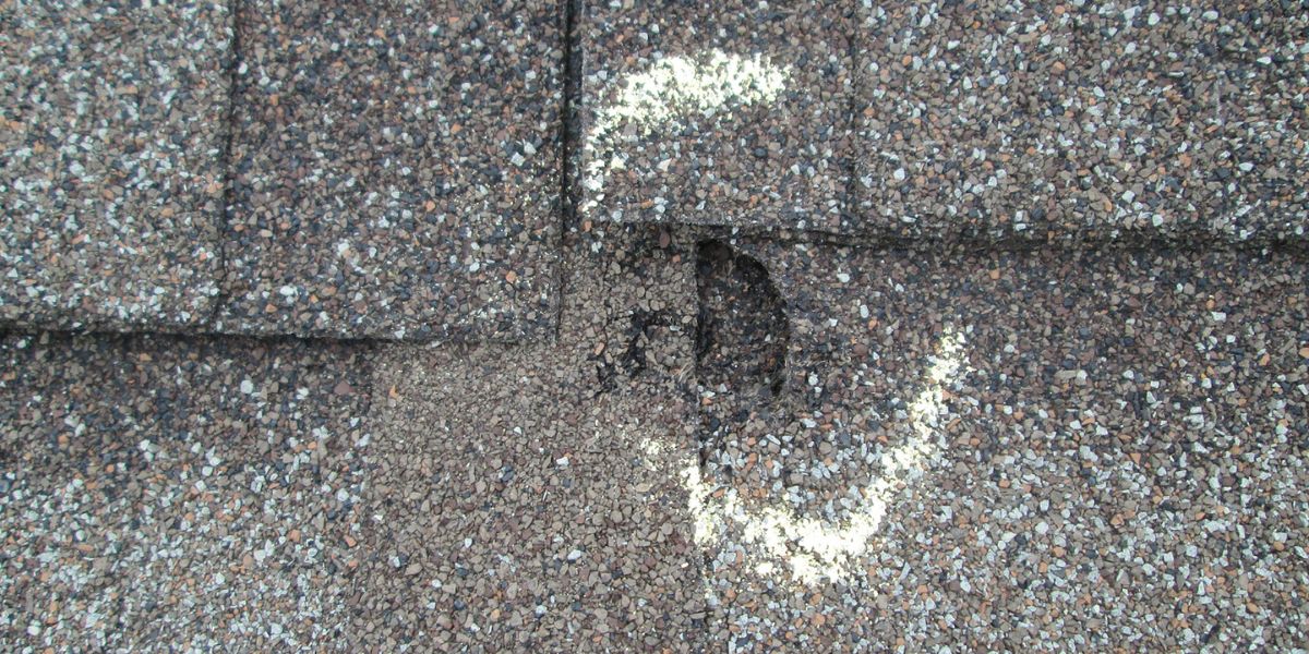 damaged shingles