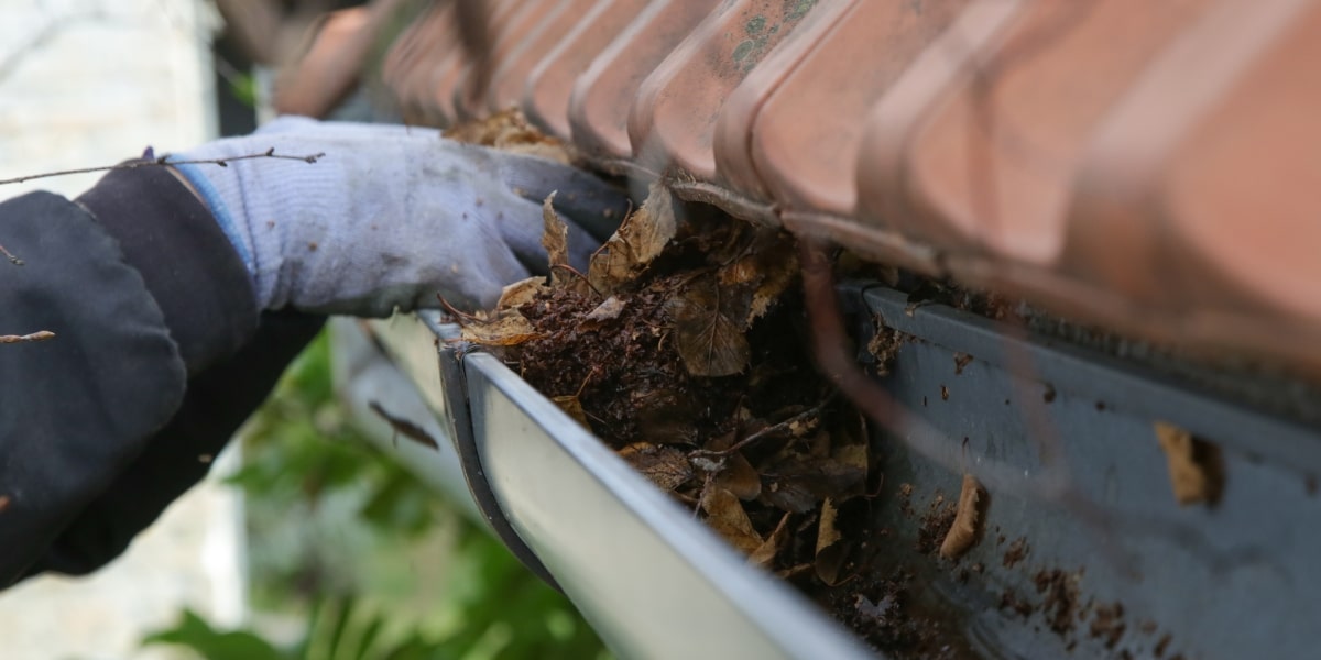 A homeowner wearing gloves removes leaves and debris from a clogged gutter beneath a tiled roof, following Priority Roofing’s advice on preventive maintenance to avoid roof damage.