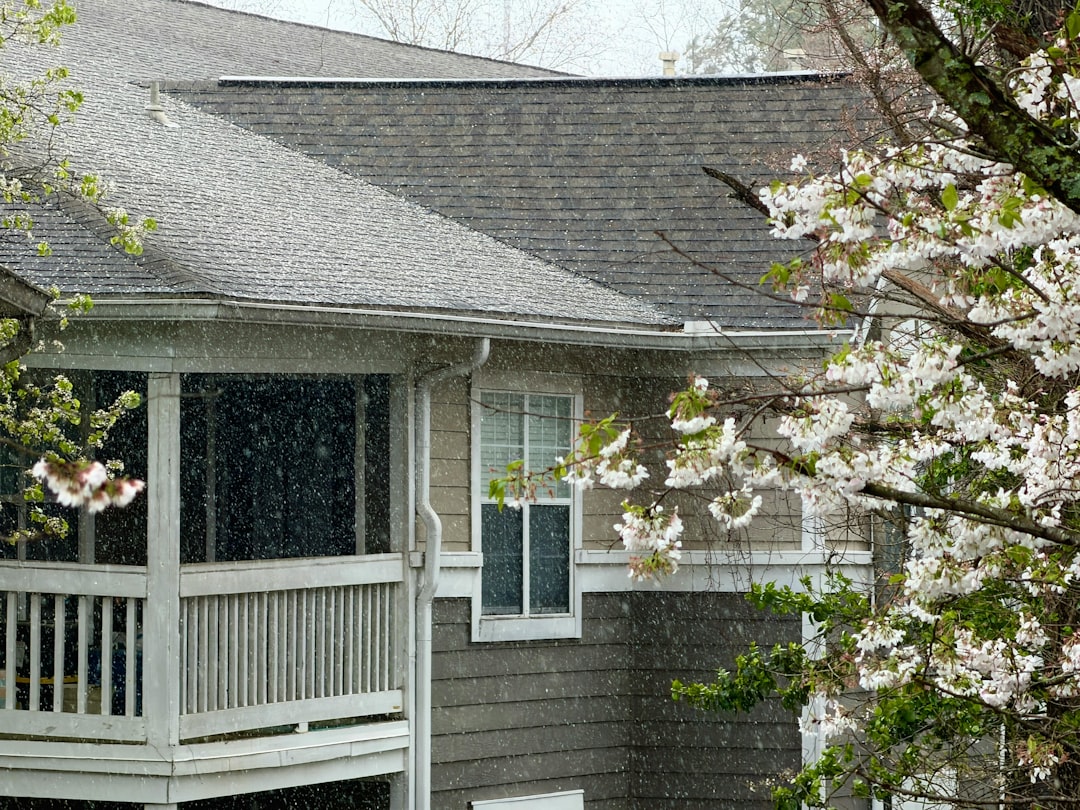 A professional roofing contractor carefully inspecting the shingles on a residential roof on a clear day, representing a proactive roof assessment and repair.