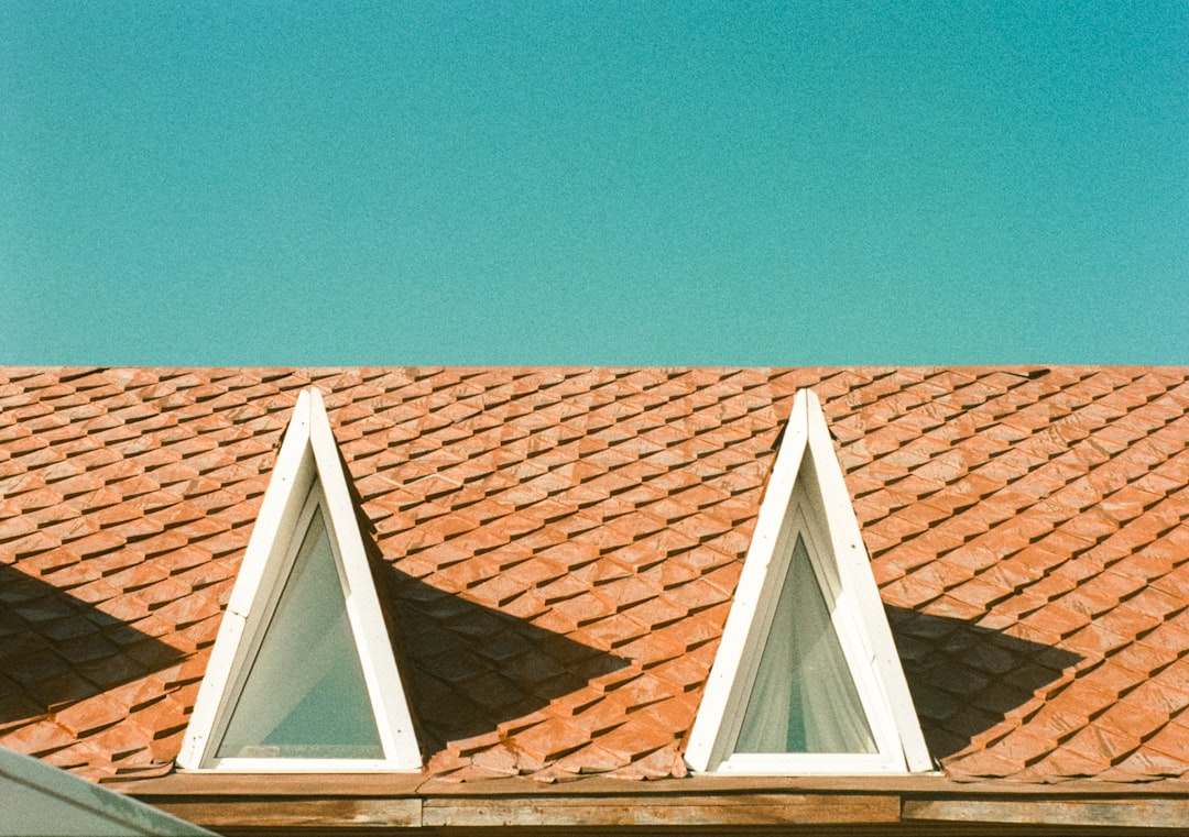 A sunlit residential roof showing dark streaks of algae growth on the shingles, a common sign of moisture damage in humid climates like Louisiana.