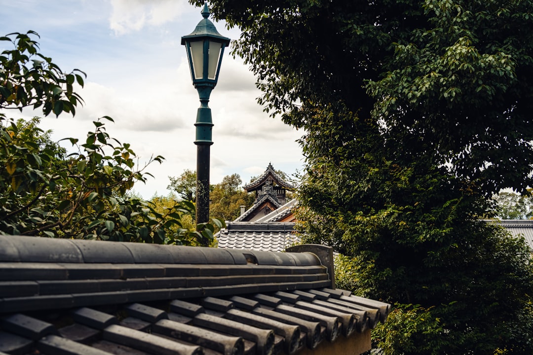 A close-up of a well-maintained, clean roofline and gutter, with vibrant, lush green trees in the background suggesting a humid, southern environment.