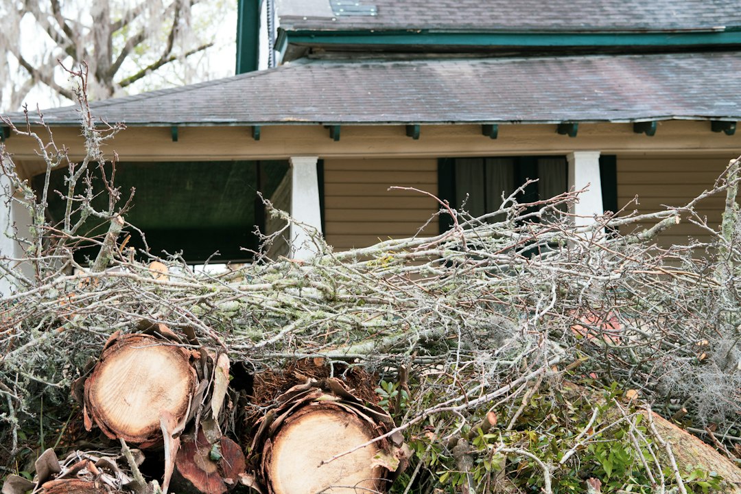 Two neighbors work together to clear fallen branches from a yard, symbolizing the community strength and local networks that are vital after a storm.